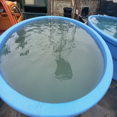 Uygulama için Özelleştirilmiş 2mm Septik Tank Şekillendirme Kalıbı